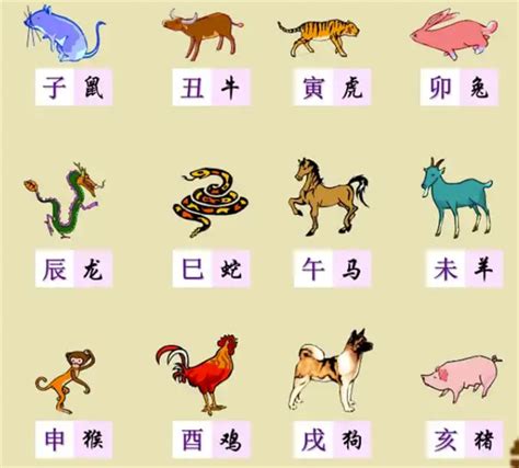 12 生肖年份表|【十二生肖年份】12生肖年齡對照表、今年生肖 